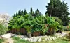 Grand terrain de la vente de notre maison d'hôte - gîte à vendre avec piscine à Perpignan (9).webp